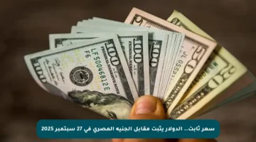 سعر ثابت.. الدولار يثبت مقابل الجنيه المصري في 27 سبتمبر 2025